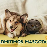 Lejlighed 3000 Sallent de Gállego