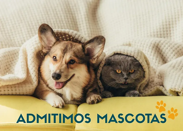 Daire 3000 Sallent de Gállego